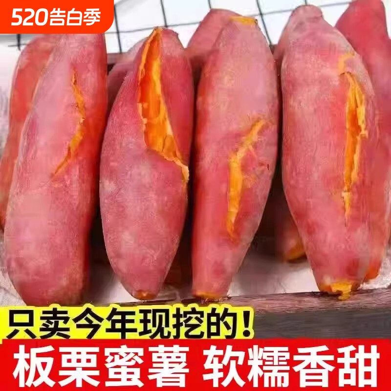 红薯新鲜番薯蜜薯地瓜黄心红心龙九现发烤西瓜红板栗香甜早餐软糯