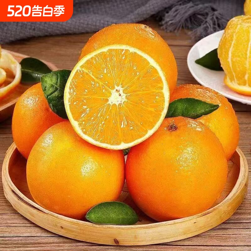 正宗湖北脐橙橙子新鲜水果手剥高山甜橙批发应季产地直发