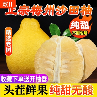 正宗梅州沙田柚柚子广东金柚白心肉孕妇新鲜现摘当季水果纯甜