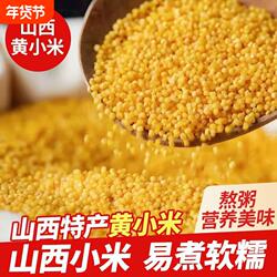 黄小米袋装新米粥食用米脂粗粮新鲜农家杂粮五谷杂粮当季优质汾州
