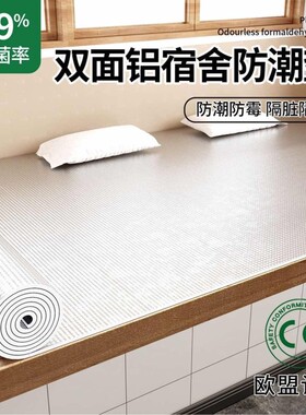 双面铝箔防寒保温棉宿舍防潮墙贴