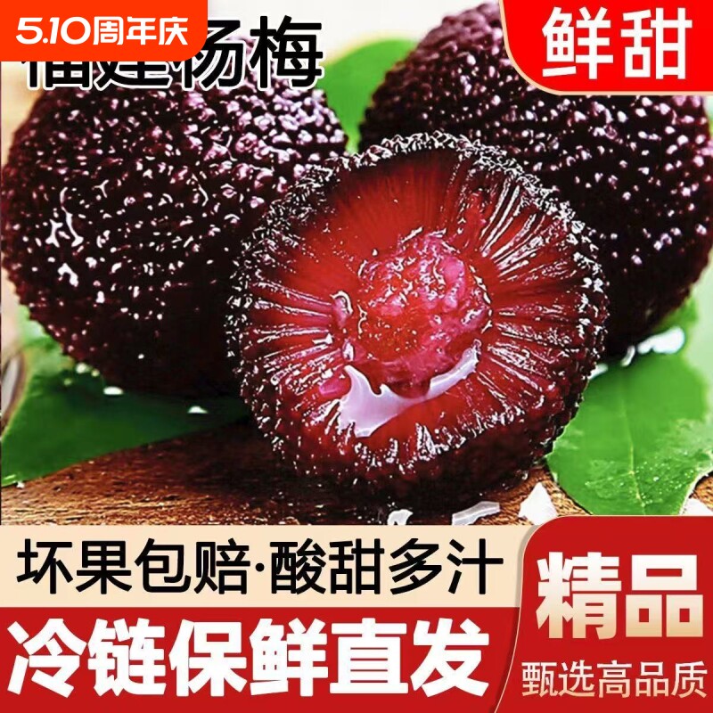 新鲜现摘现发福建浮宫杨梅新鲜杨梅早梅硬丝孕妇水果当季采摘泡酒