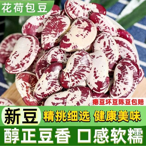 大荷包豆2025新货云南特产芸豆子农家粗杂粮扁豆新鲜饭豆豆类豌豆