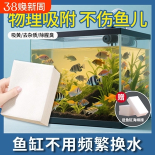 水族鱼缸专用除黄水去黄水污力丸水族过滤净水宝化除臭去腥气滤材