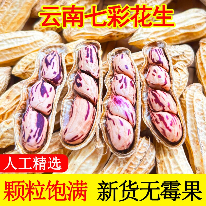 云南七彩花生带壳原味水煮咸干晒干熟花生米特色不上火年货节新货