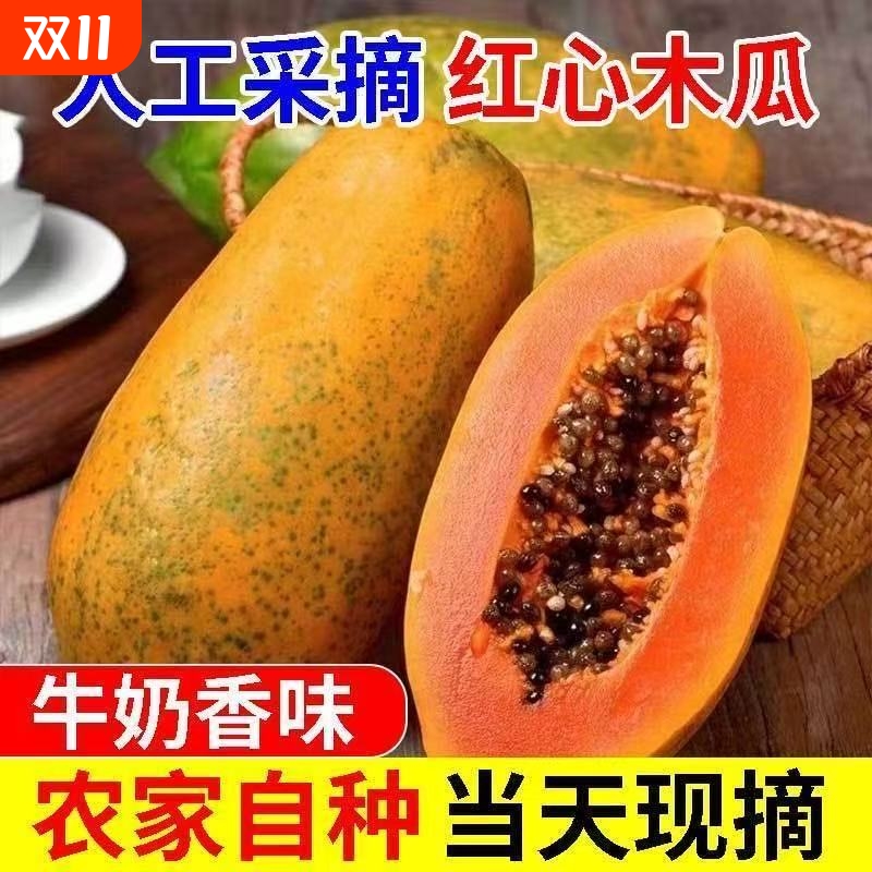 红心牛奶木瓜新鲜木瓜水果当季树上自然熟冰糖心青皮木瓜现摘整箱