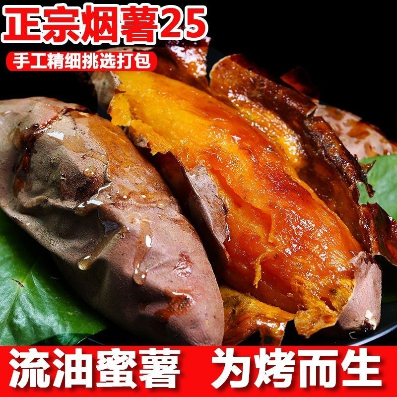 烟薯25号山东正宗红薯红心番薯沙地地瓜蜜薯糖心流油现挖新鲜