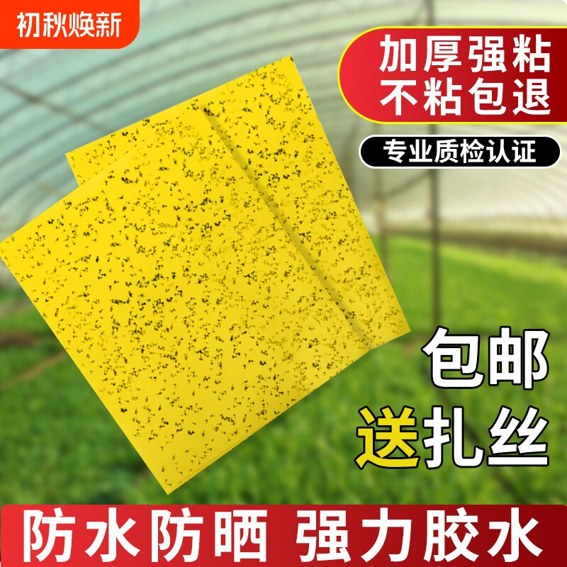 双面粘虫板强力灭虫|千人加购