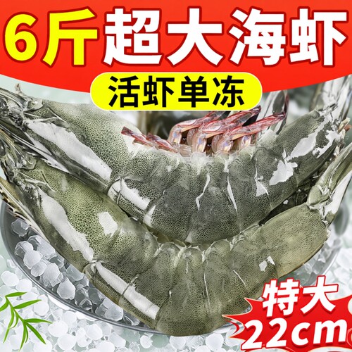 青岛特大冷冻海捕|超1000次加购