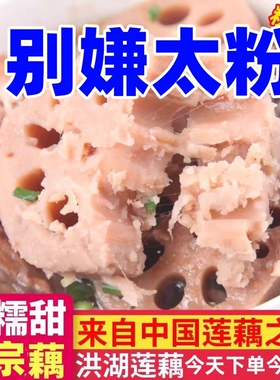 正宗洪湖粉藕湖北莲新鲜现挖煲汤粉藕湖藕面藕红藕粉糯米藕九孔藕