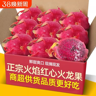 云南高山火焰红心火龙果3-5斤海南金都一号新鲜水果红肉时令现摘