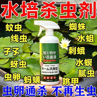 水培植物杀虫剂鱼缸池塘荷花睡莲灭蚊子幼虫蚜虫线虫孑孓虫卵双杀