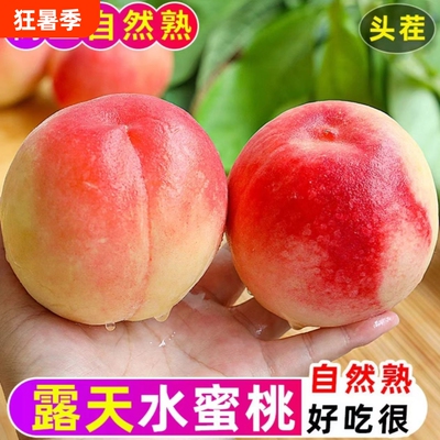 新鲜脆甜水蜜桃当季时令水果桃子毛桃现摘脆整箱包邮自提天水经营