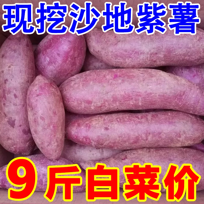 新鲜沙地紫薯紫罗兰|千人加购