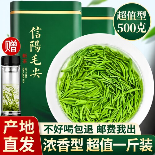 信阳毛尖特级明前春茶|千人加购