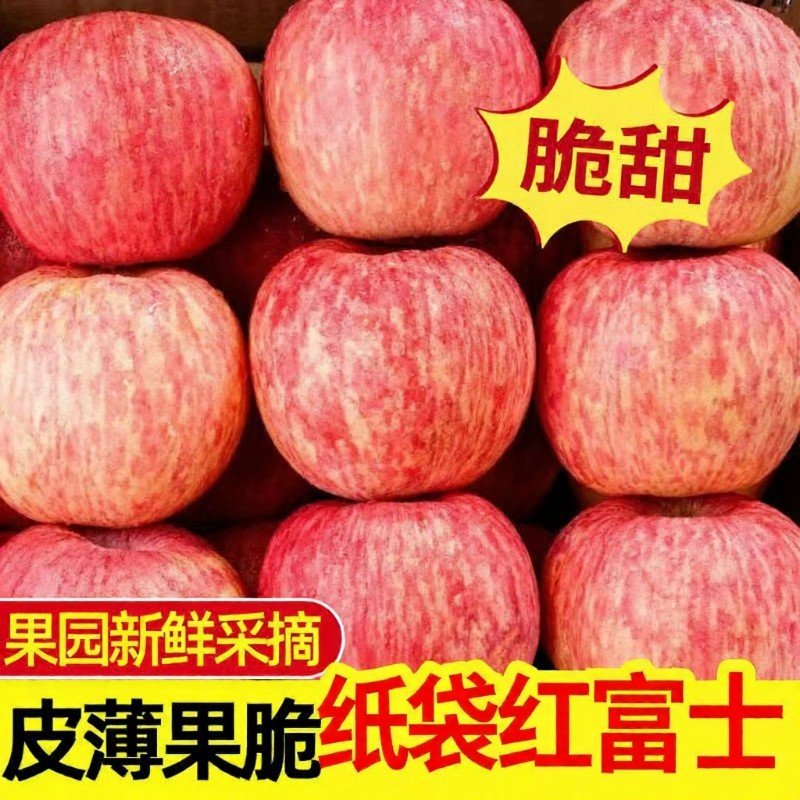 陕西纸袋红富士苹果9斤新鲜水果应当季洛川冰糖平果包邮脆甜精品