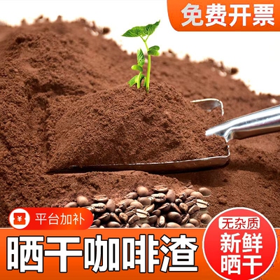 咖啡渣除味新房除甲醛新车除异味