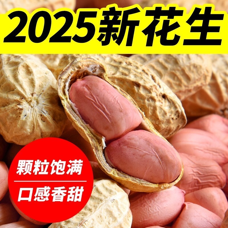 生花生带壳新鲜2026年干花生晒干原味粉红皮农家优质白沙花生果米