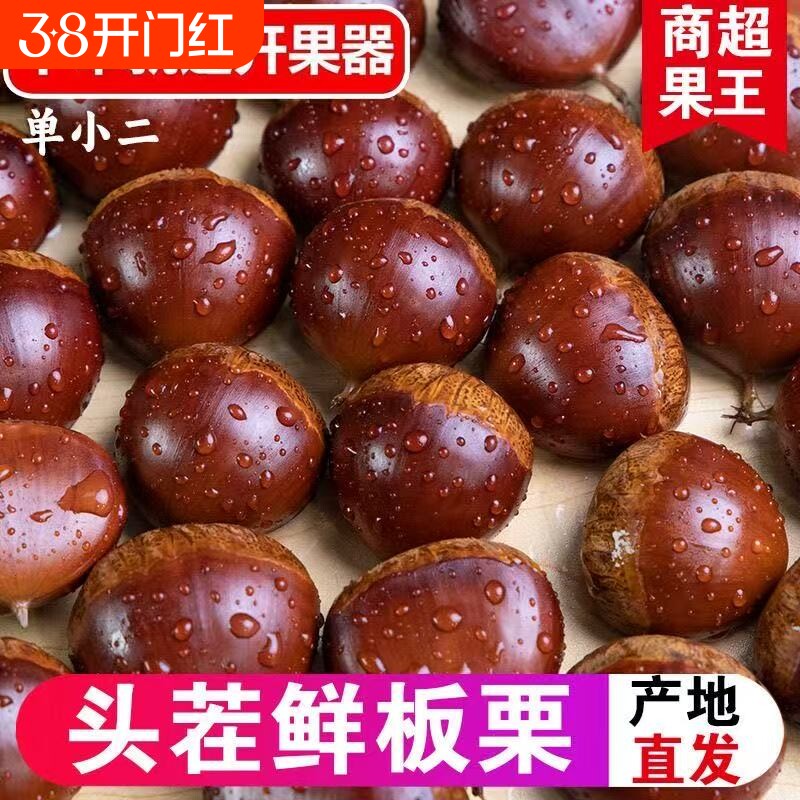 2025年丹东板栗新鲜生栗子5斤大果糖炒毛板栗仁油锥栗整箱包邮