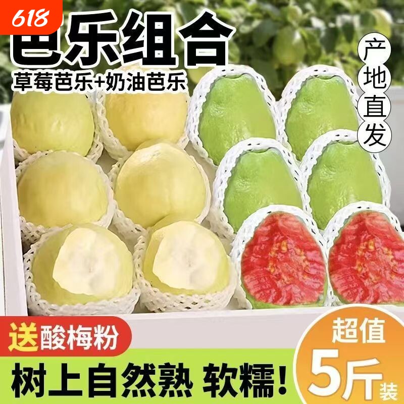 广西白心红心奶油芭乐双拼芭乐软心软糯新鲜番石榴脆甜鸡屎果批发