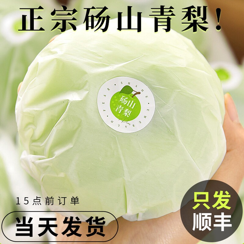安徽砀山梨梨子翠玉青梨9斤新鲜水果当季皇冠青酥蜜梨早雪梨整箱 - 实物图