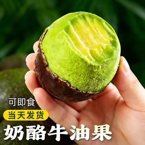 云南哈斯牛油果新鲜水果大果即食当季宝宝辅食一级鳄梨整箱包邮