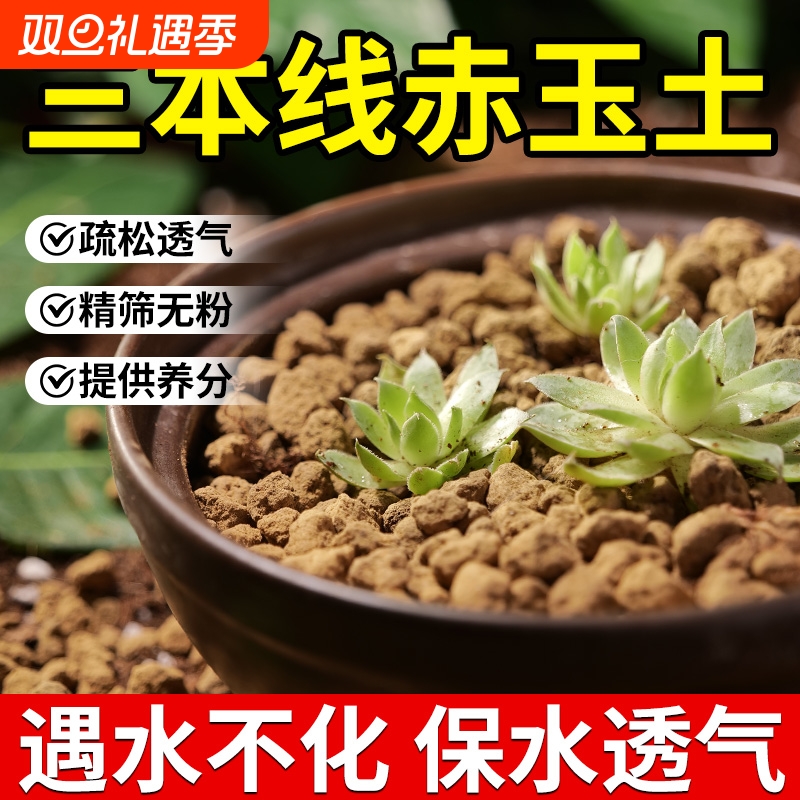 进口赤玉土多肉颗粒土盆栽铺面石