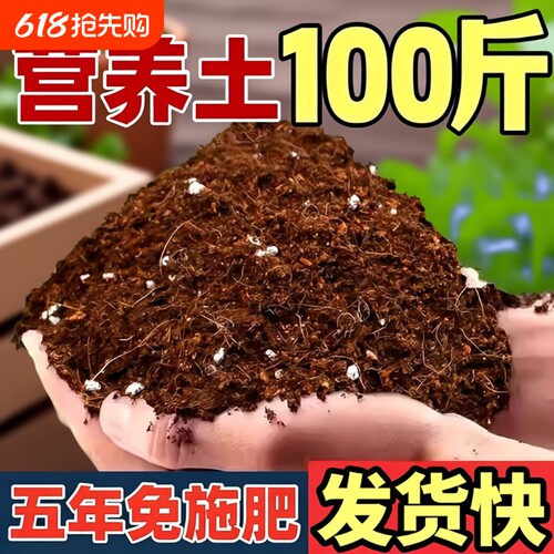 100斤营养土养花专用种植土壤厂家直销土泥土育苗种菜通用型椰砖