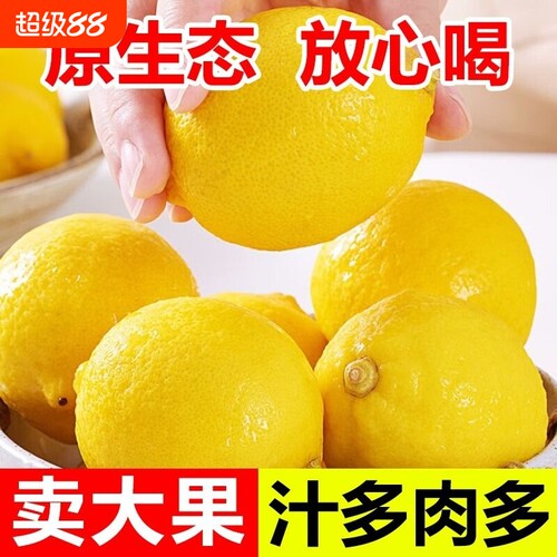 四川安岳黄柠檬商用皮薄无籽