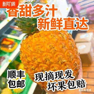 芒果凤梨 海南 包邮 香脆甜多汁新鲜水果凤梨大果礼盒 顺丰