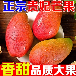 海南贵妃芒树上熟三亚芒果特产当季 新鲜水果特大果辣椒芒香蕉