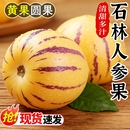 包邮 人参果新鲜水果云南石林黄心圆果树上熟七彩人叁果应当季 整箱
