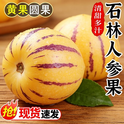 【9斤人参果钜惠】香甜多汁特好