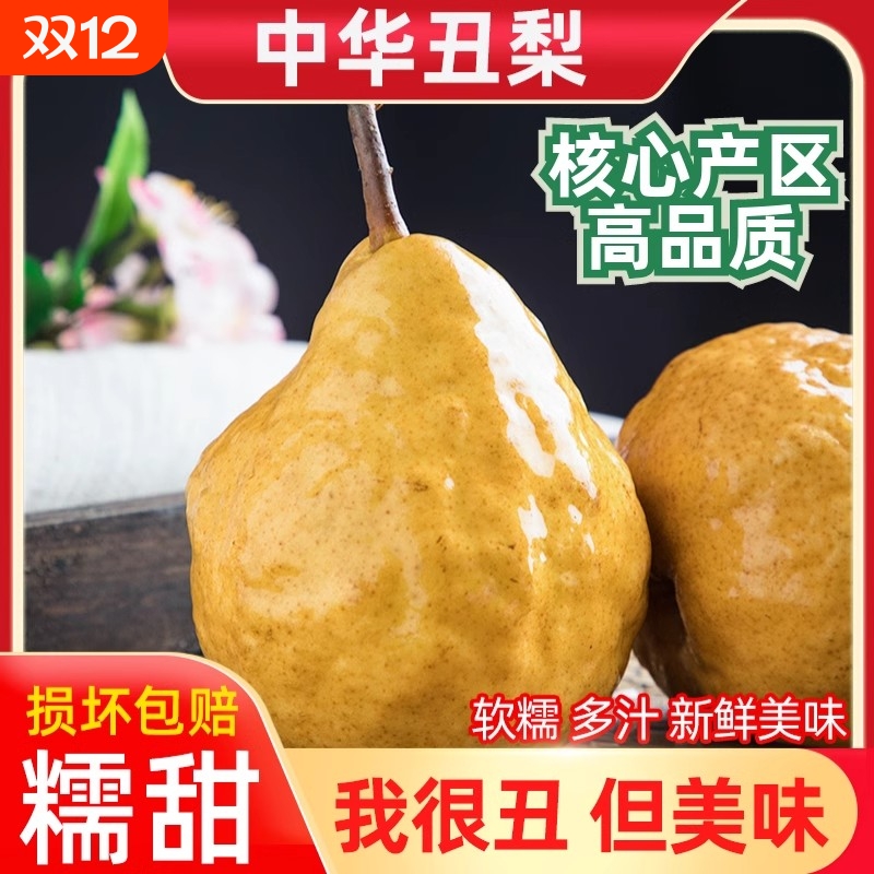 正宗中华丑梨软糯梨子山东烟台新鲜水果当季太婆啤梨当季水果