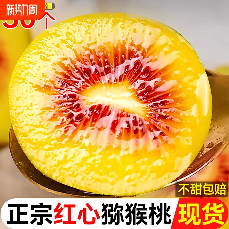 四川红心猕猴桃新鲜奇异果30枚装当季现摘蒲江弥猴桃水果礼盒整箱