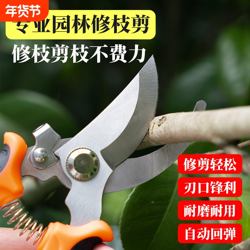 修枝剪摘果神器专用工具园艺修剪花卉剪刀不锈钢家用树枝剪枝园林