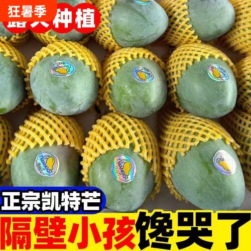 四川攀枝花凯特芒果当季新鲜水果现摘超甜彩虹芒大青吉禄芒果整箱