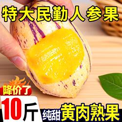 民勤人参果大果当季新鲜孕妇水果甘肃武威沙漠人叁黄肉人生果整箱