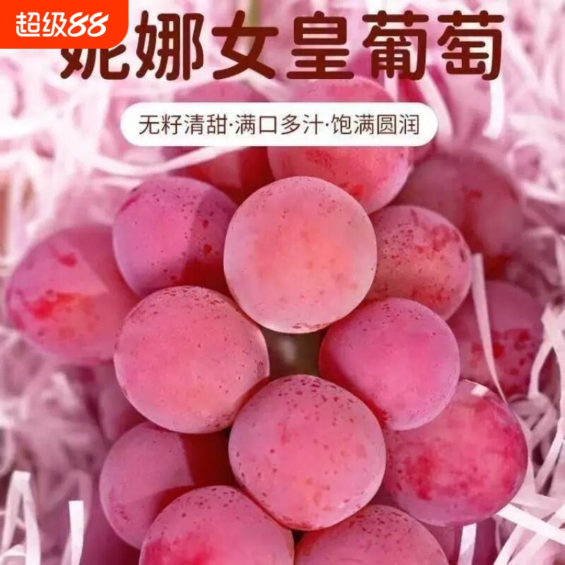 【顺丰包邮】妮娜皇后葡萄红酒香提子新鲜水果提子新鲜水果当季