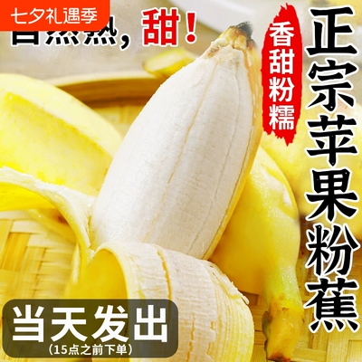 正宗苹果蕉禁止蕉绿香蕉9斤水果香甜苹果粉蕉自然熟当季小米芭蕉