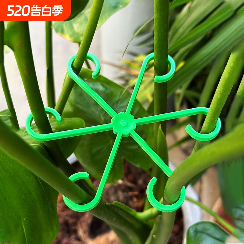 龟背竹支撑杆春羽花支架防倒伏水培植物固定器枝干收聚拢架护花架