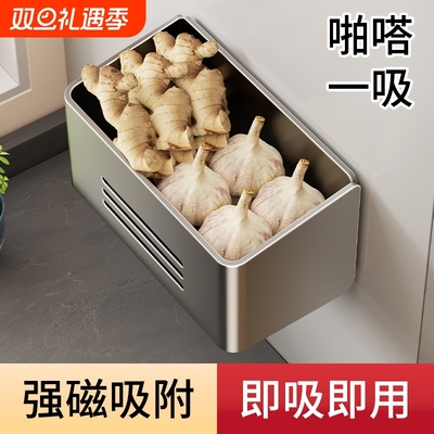 放葱姜蒜收纳盒壁挂冰箱磁吸置物架厨房收纳神器菜篮子小挂篮台面