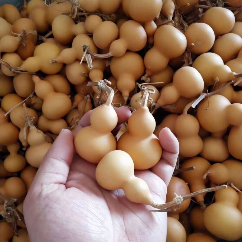 （产地直发）聊城葫芦文玩天然通货挂件摆件手把件把玩小葫芦手捻