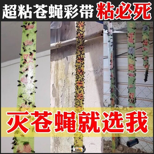 强力粘苍蝇纸|超1000次加购