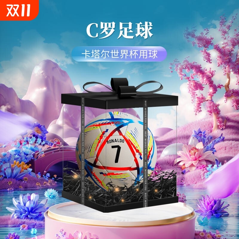 C罗足球限量版中考训练专用5号球成人欧洲杯比赛生日礼物儿童4号