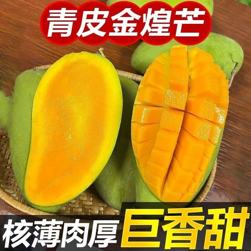 广西.青皮金煌芒净重4.5斤  果王单果500G+