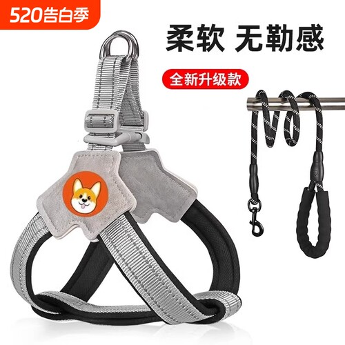 【全网低价】爆款防咬狗狗牵引绳