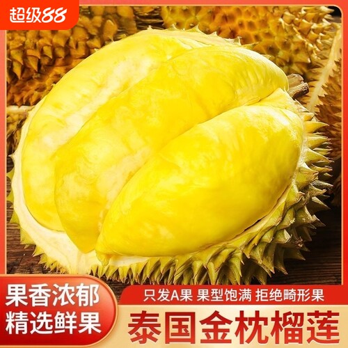 正宗泰国老树金枕榴莲巴掌大