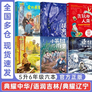 典耀中华五升六年级小英雄雨来名作精编版童年适龄精编版爱的教育贪玩的人类写给孩子的科学史昆虫记叶片下的奇妙王国逐狼呼和
