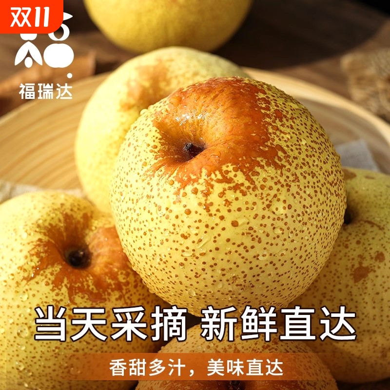 现摘砀山梨新鲜梨子8.5斤单果200-300g